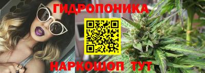 тгк Братск