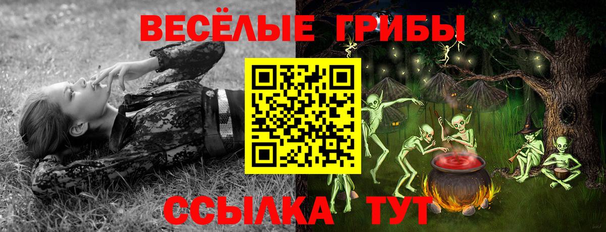 Галлюциногенные грибы Magic Shrooms Волгодонск